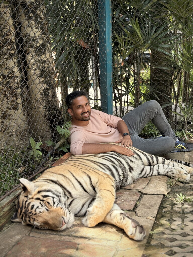 Photo with a tiger at Tiger Kingdom Chiang Mai